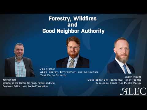 Forestry, Wildfires, and the Good Neighbor Authority - American