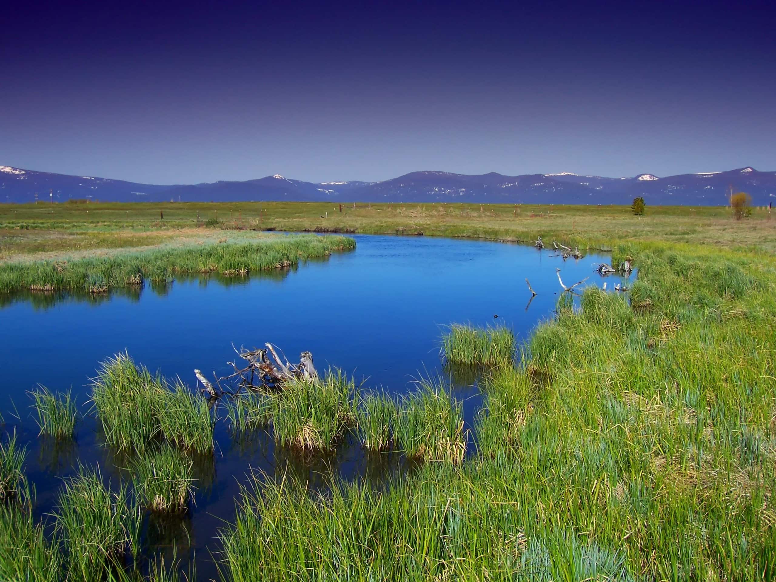 Stream Protection Rule The Stream Protection Rule Gets Axed - American Legislative Exchange ...