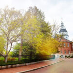 Lee Schalk Testimony in Maryland: Boosting Government Efficiency &#038; Transparency image