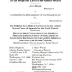 Amicus Brief: Ream v. U.S. Department of the Treasury image